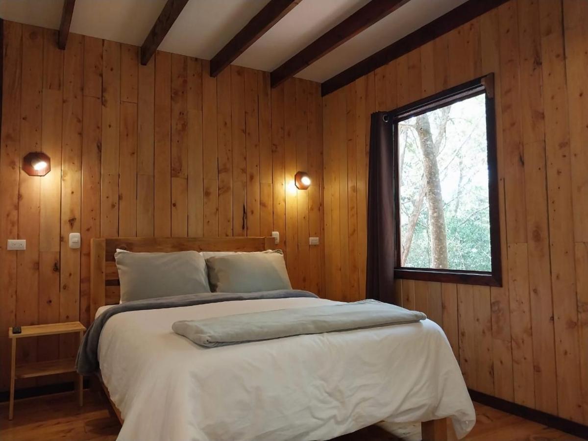 Curuba Lodge Copey Εξωτερικό φωτογραφία