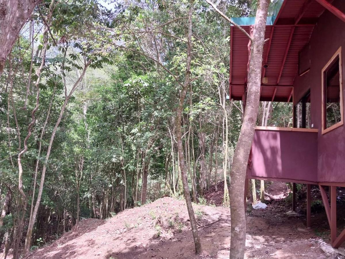 Curuba Lodge Copey Εξωτερικό φωτογραφία
