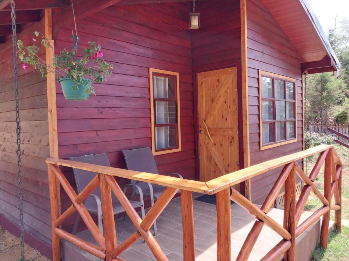 Curuba Lodge Copey Εξωτερικό φωτογραφία