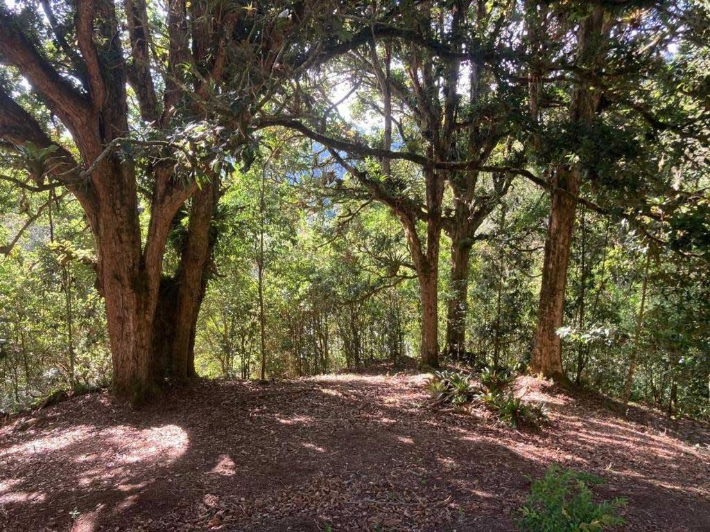 Curuba Lodge Copey Εξωτερικό φωτογραφία