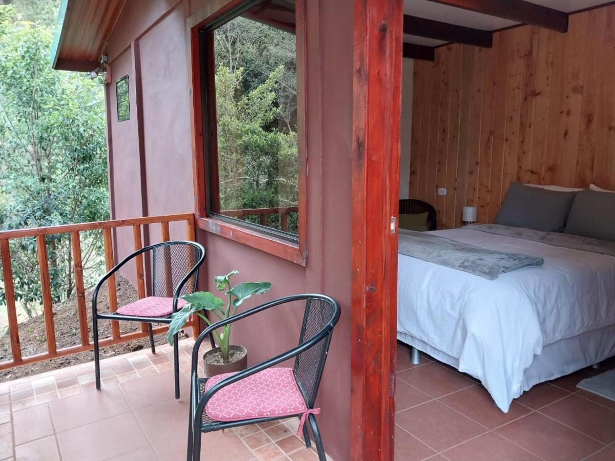 Curuba Lodge Copey Εξωτερικό φωτογραφία