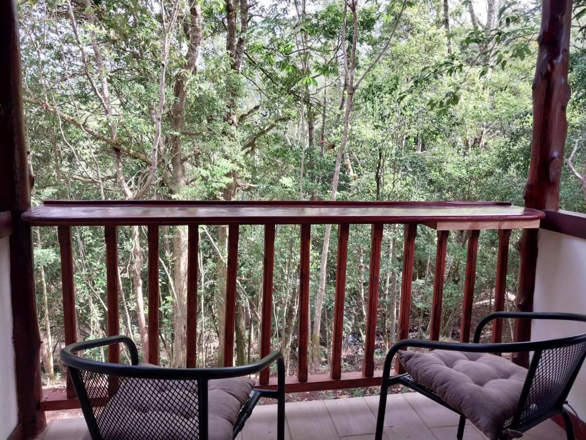 Curuba Lodge Copey Εξωτερικό φωτογραφία