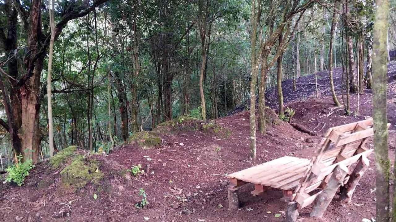 Curuba Lodge Copey Εξωτερικό φωτογραφία