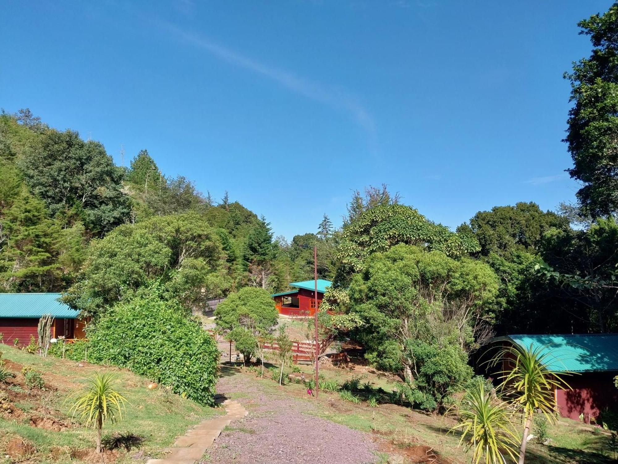 Curuba Lodge Copey Εξωτερικό φωτογραφία