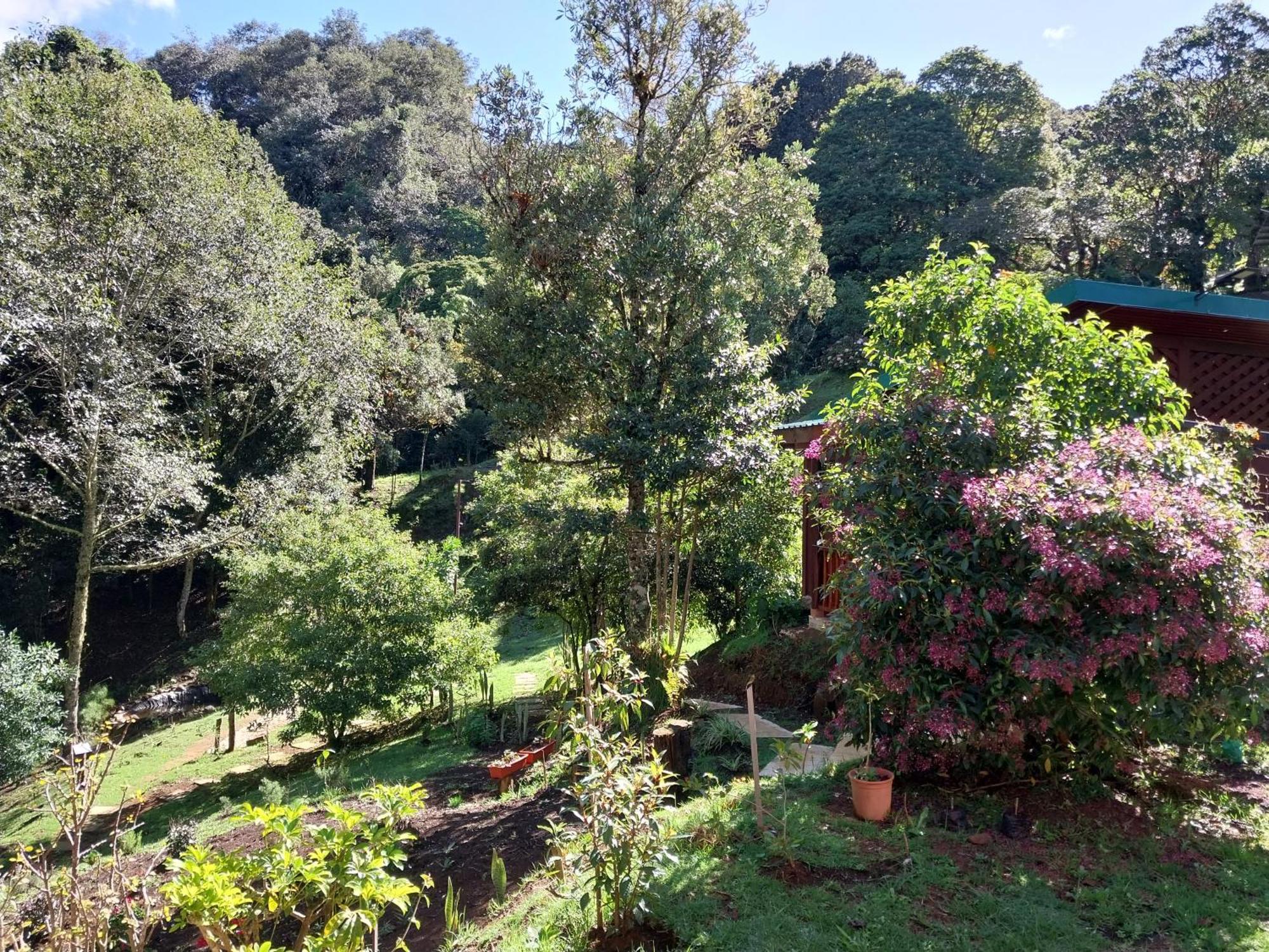 Curuba Lodge Copey Εξωτερικό φωτογραφία