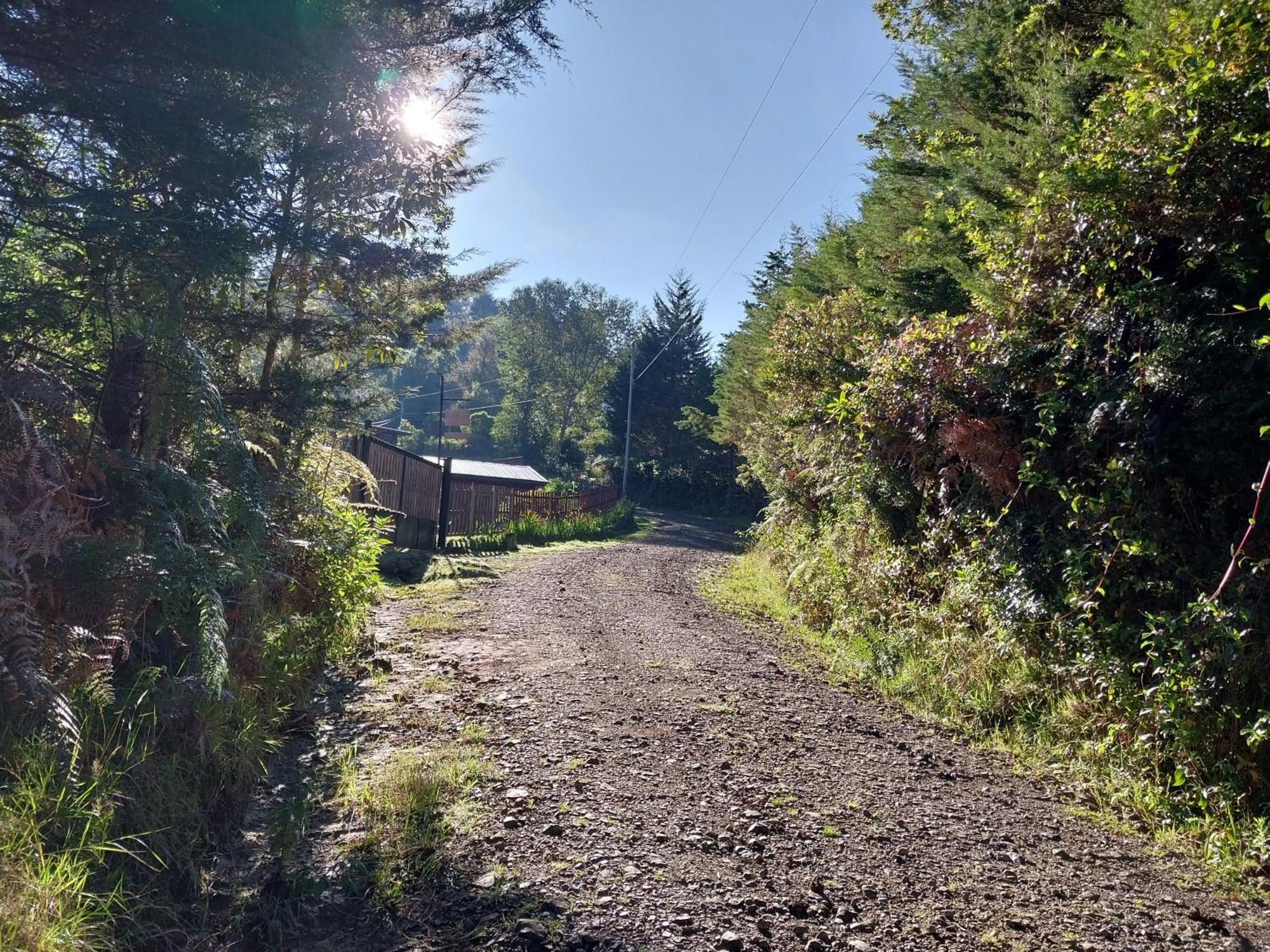 Curuba Lodge Copey Εξωτερικό φωτογραφία