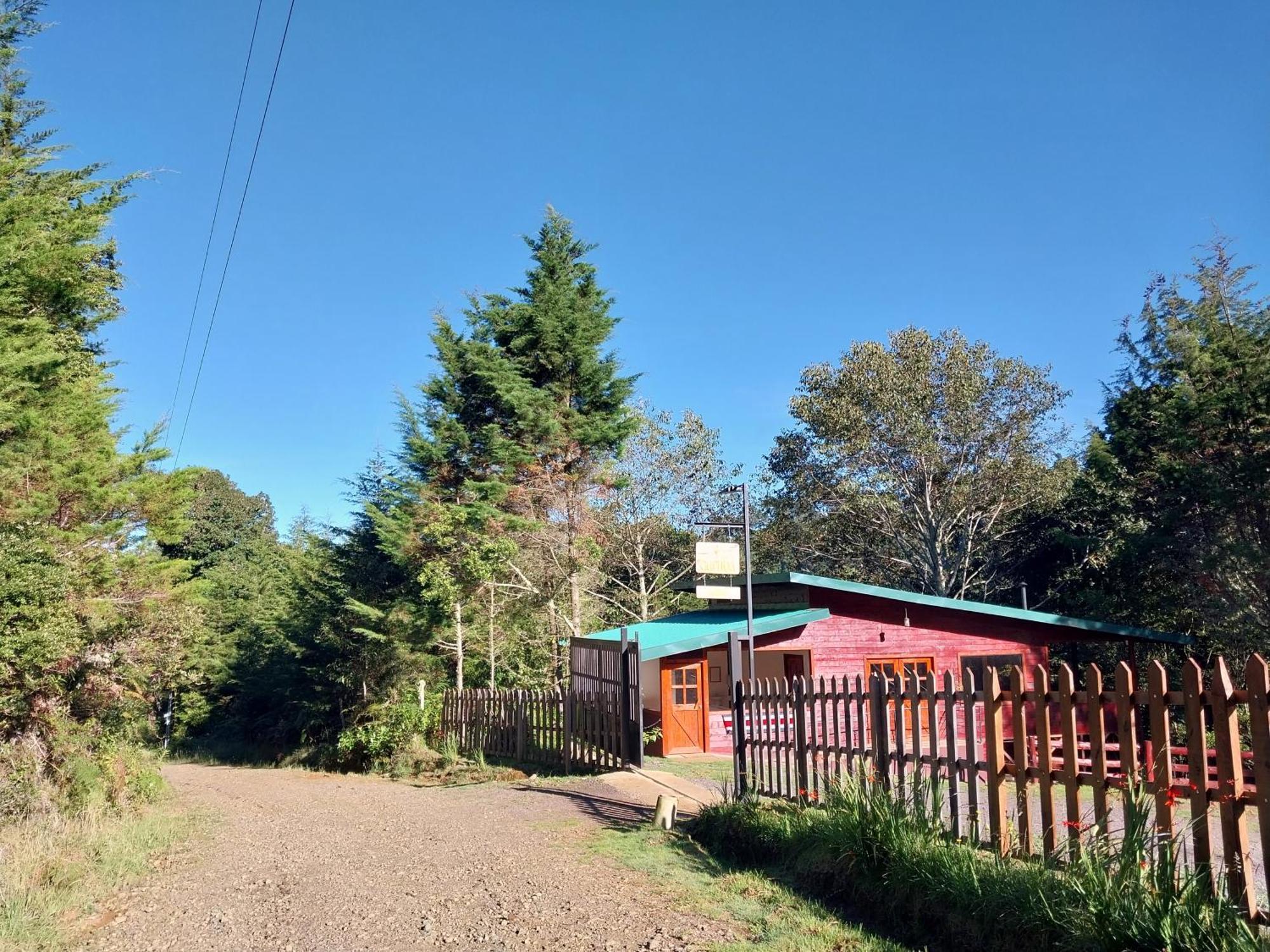 Curuba Lodge Copey Εξωτερικό φωτογραφία