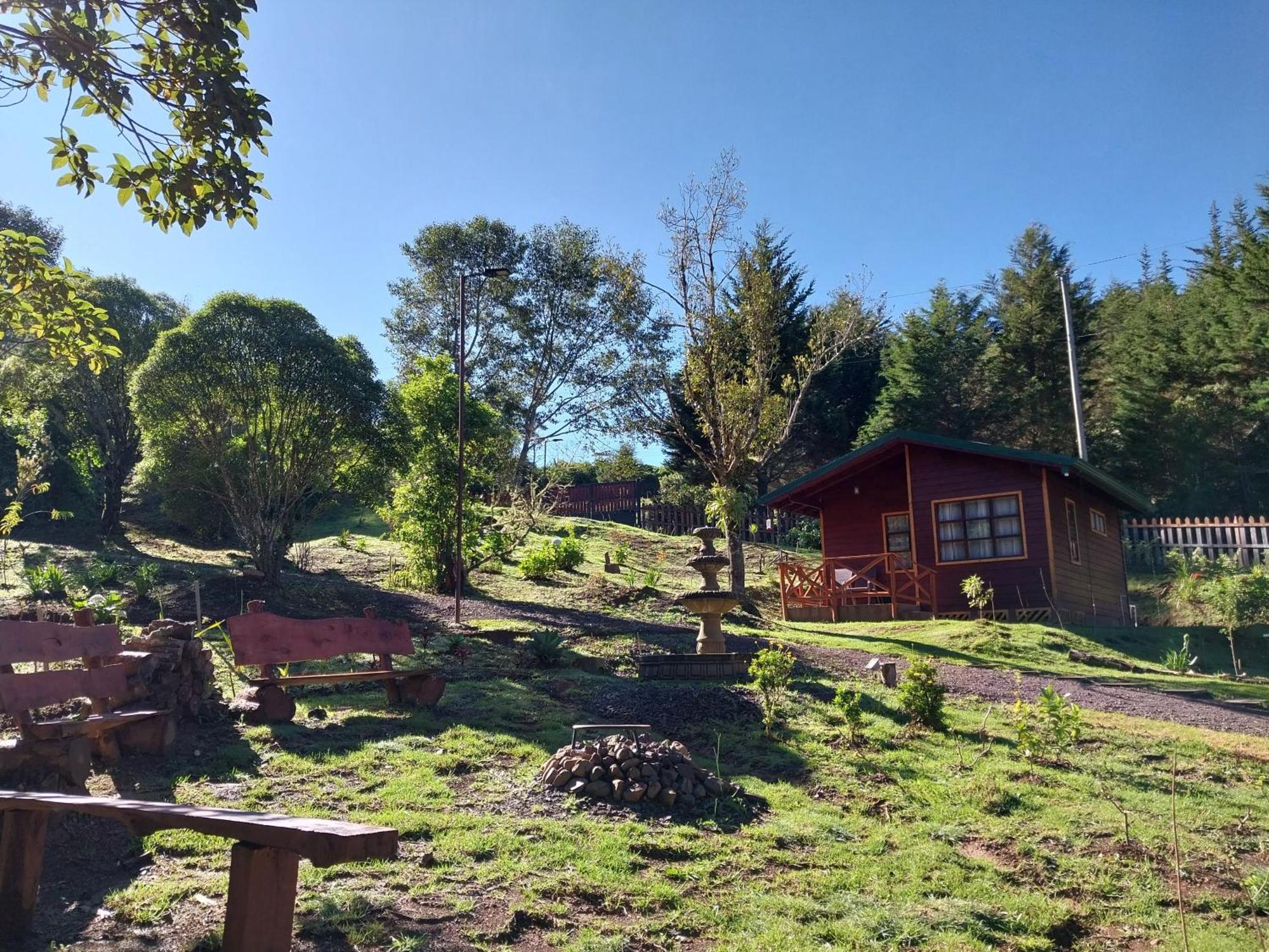 Curuba Lodge Copey Εξωτερικό φωτογραφία