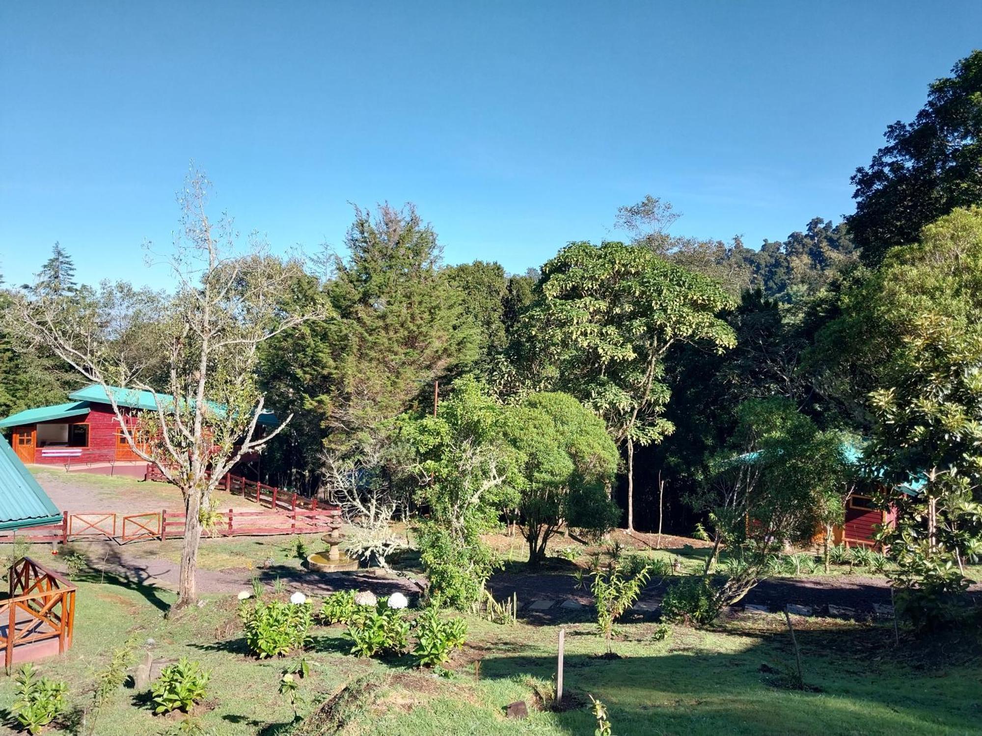 Curuba Lodge Copey Εξωτερικό φωτογραφία
