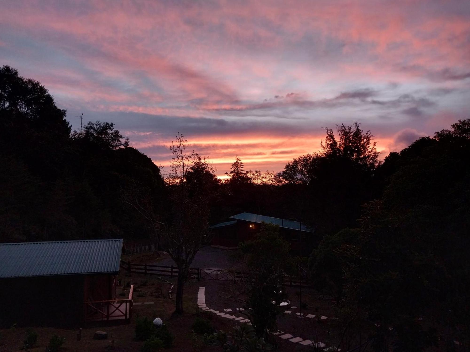 Curuba Lodge Copey Εξωτερικό φωτογραφία