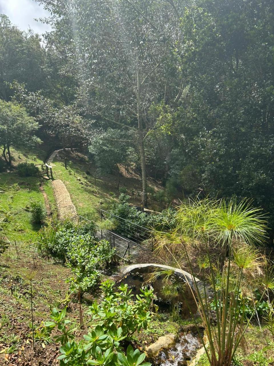Curuba Lodge Copey Εξωτερικό φωτογραφία