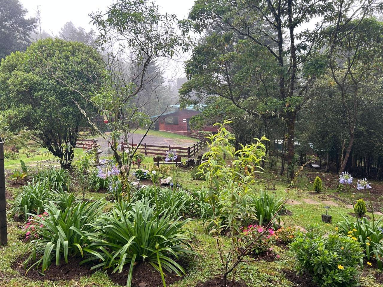 Curuba Lodge Copey Εξωτερικό φωτογραφία