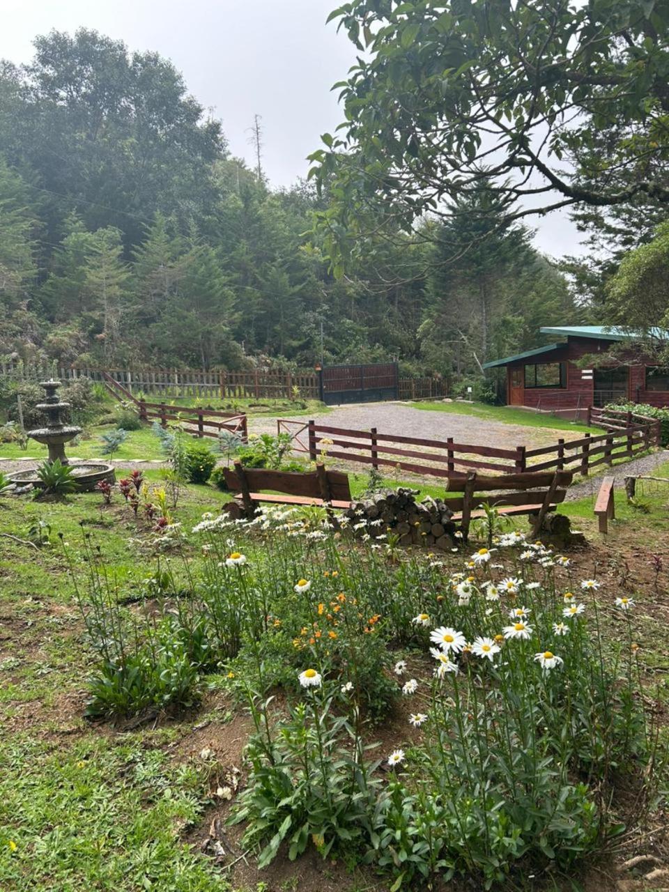 Curuba Lodge Copey Εξωτερικό φωτογραφία