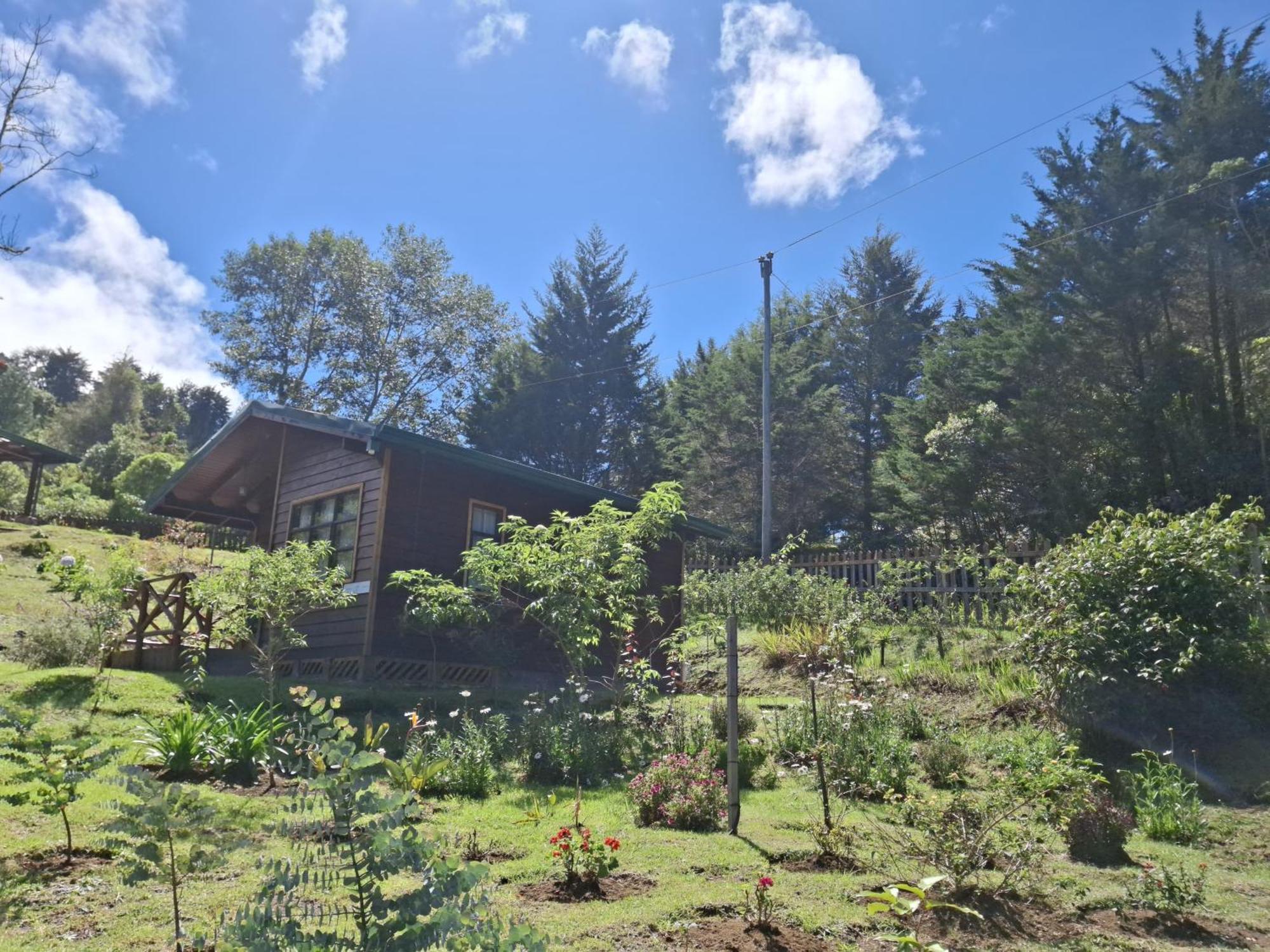 Curuba Lodge Copey Εξωτερικό φωτογραφία