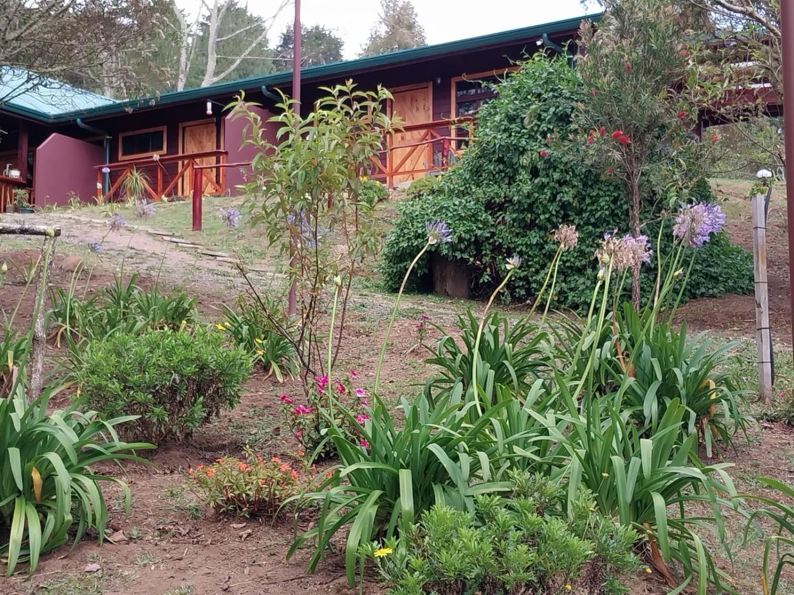 Curuba Lodge Copey Εξωτερικό φωτογραφία