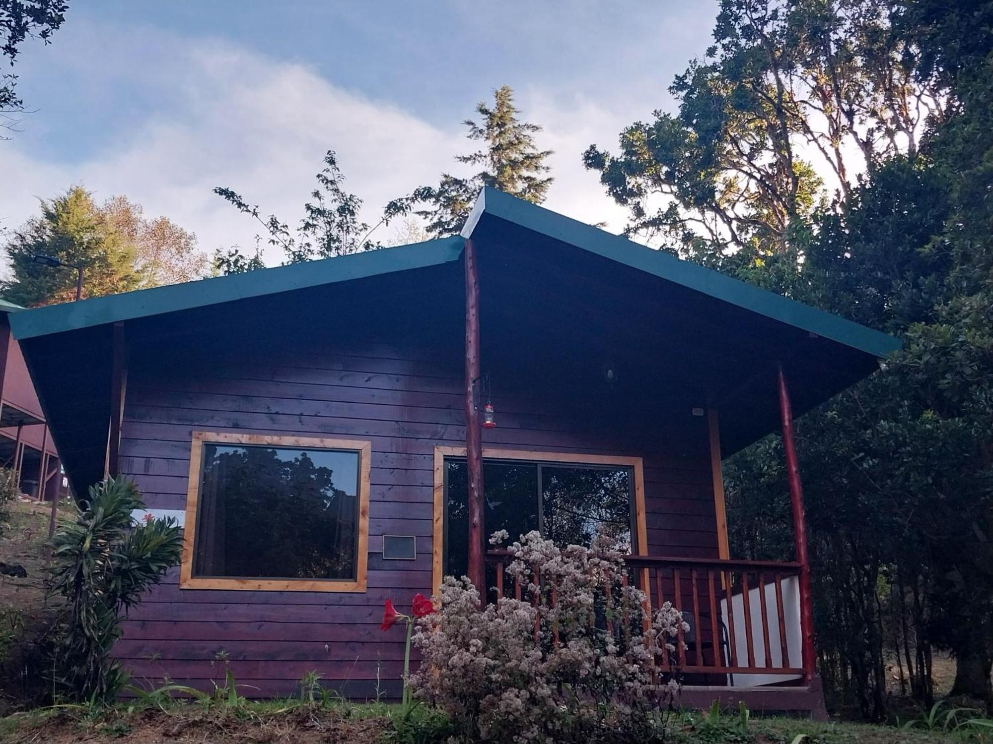 Curuba Lodge Copey Εξωτερικό φωτογραφία