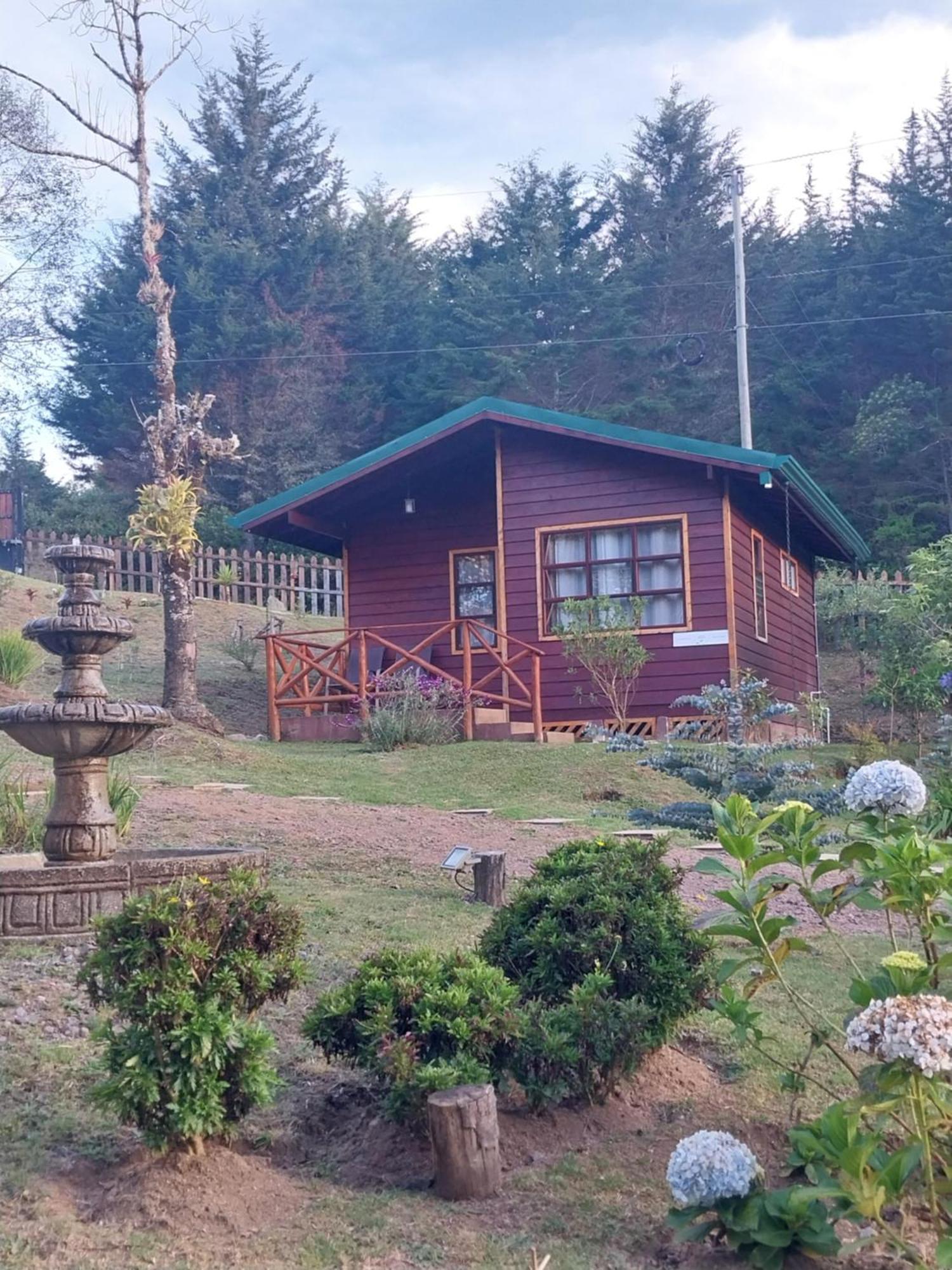 Curuba Lodge Copey Εξωτερικό φωτογραφία