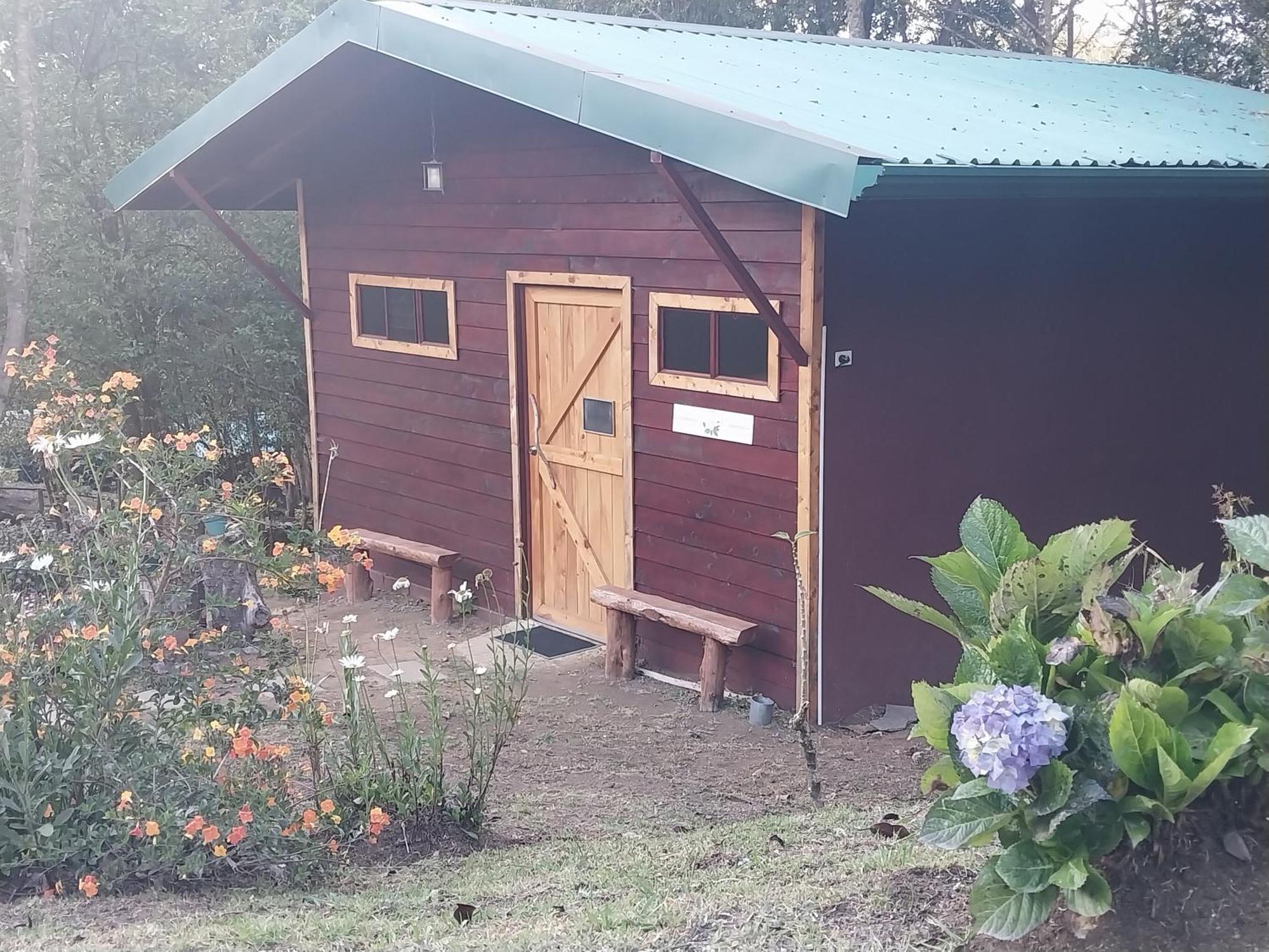 Curuba Lodge Copey Εξωτερικό φωτογραφία